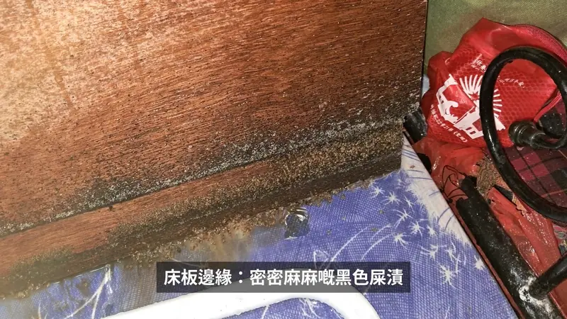 床板邊緣嘅床蝨屎漬